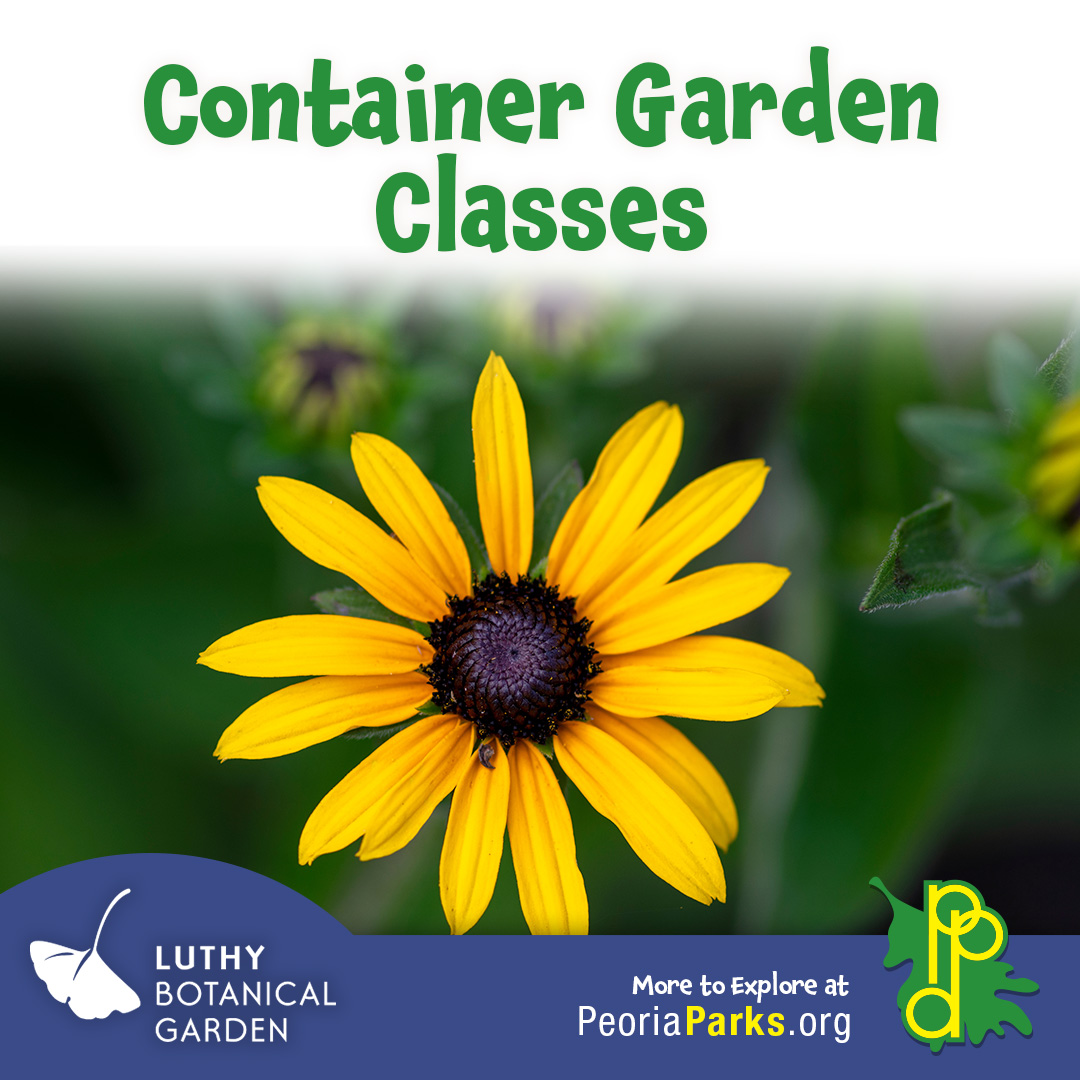 Container Garden & Wine Class