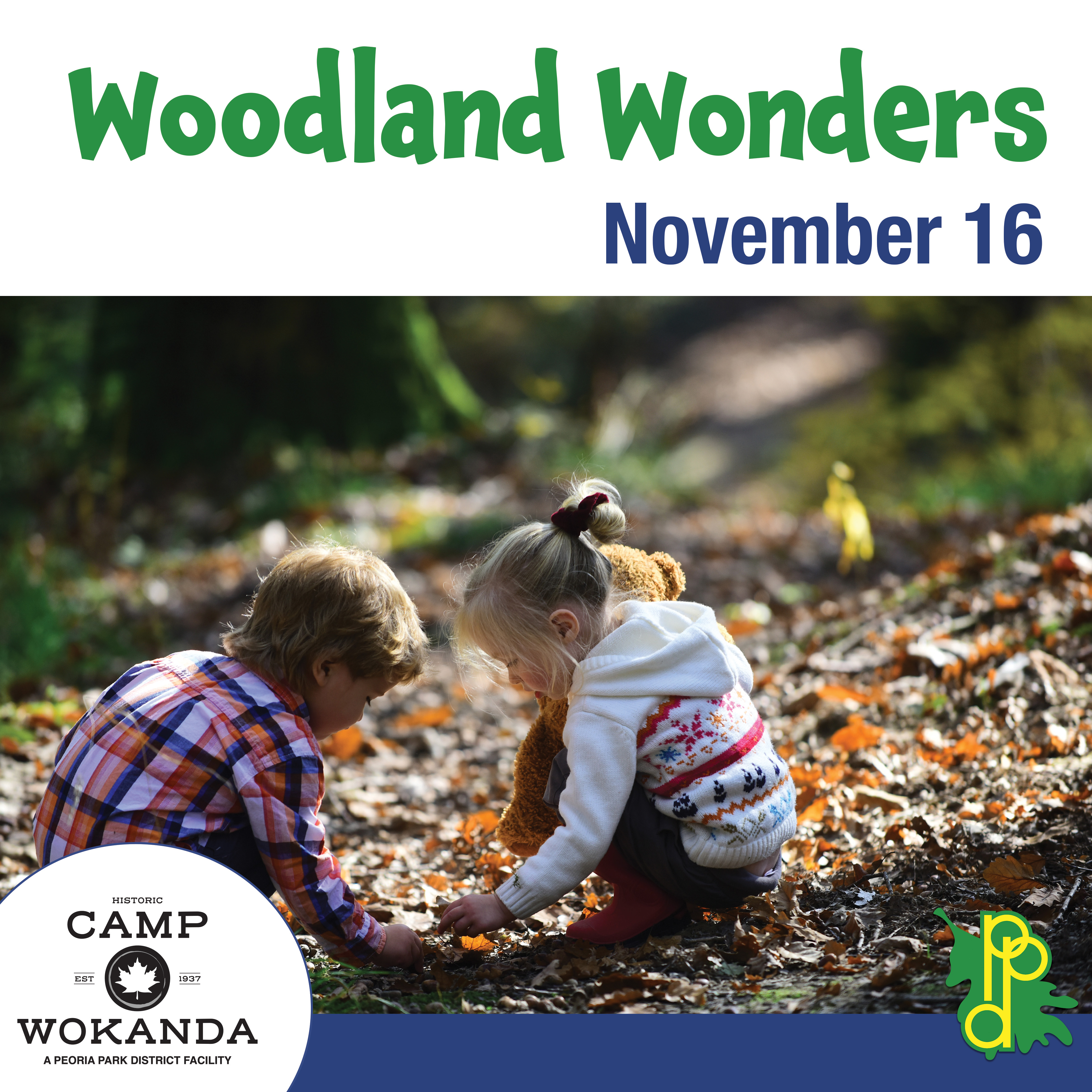 Woodland Wonders