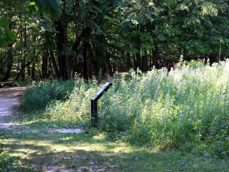 Forest Park Nature Center Peoria Park District