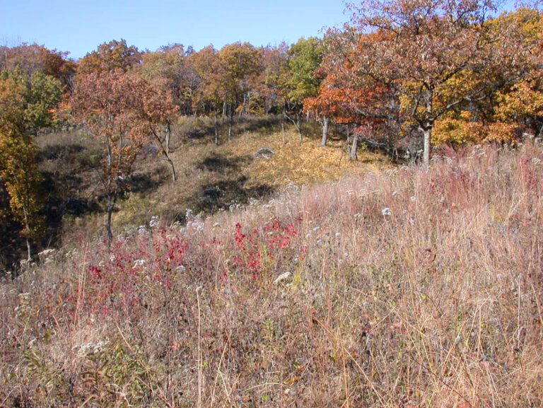 Forest Park Nature Center Peoria Park District