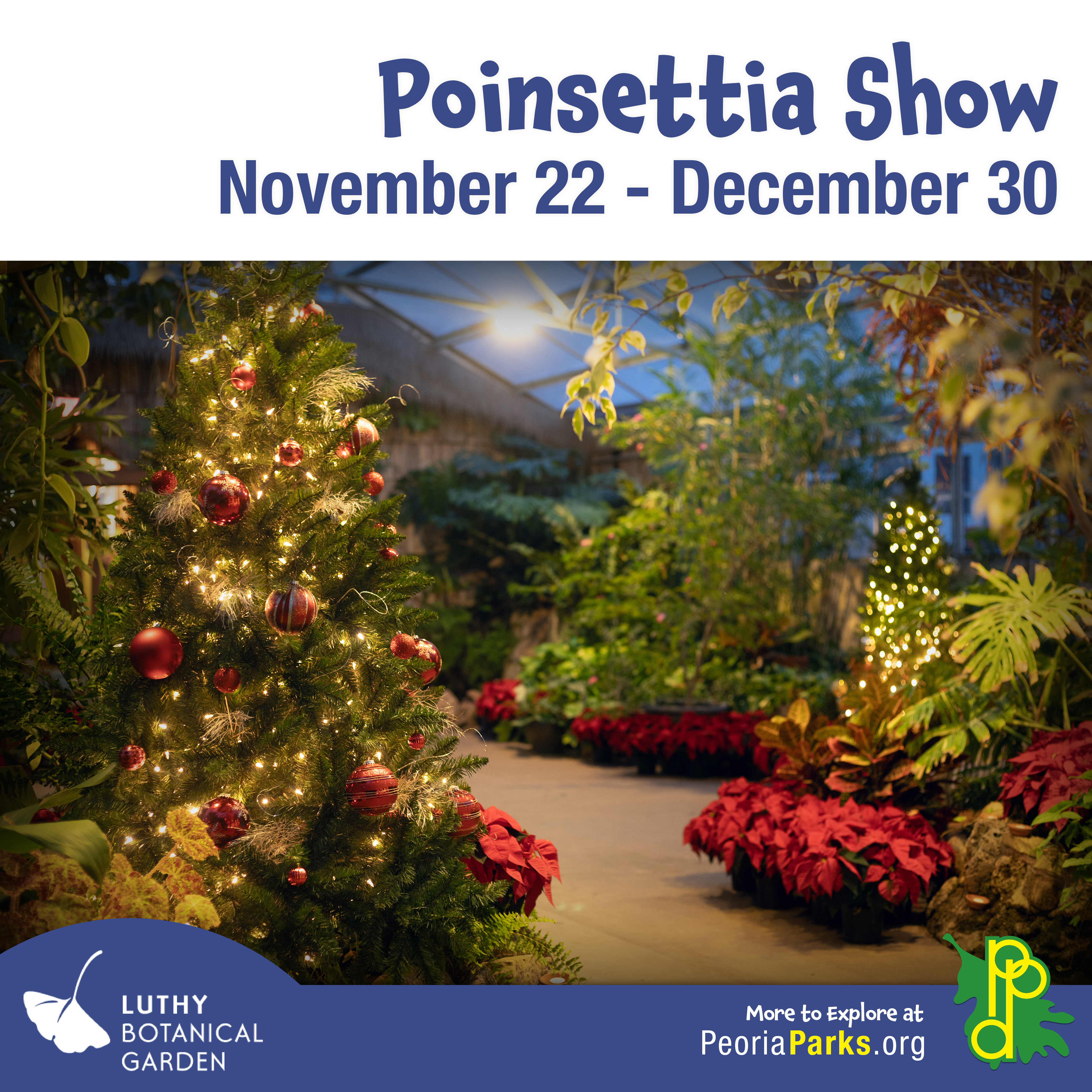 Poinsettia Show