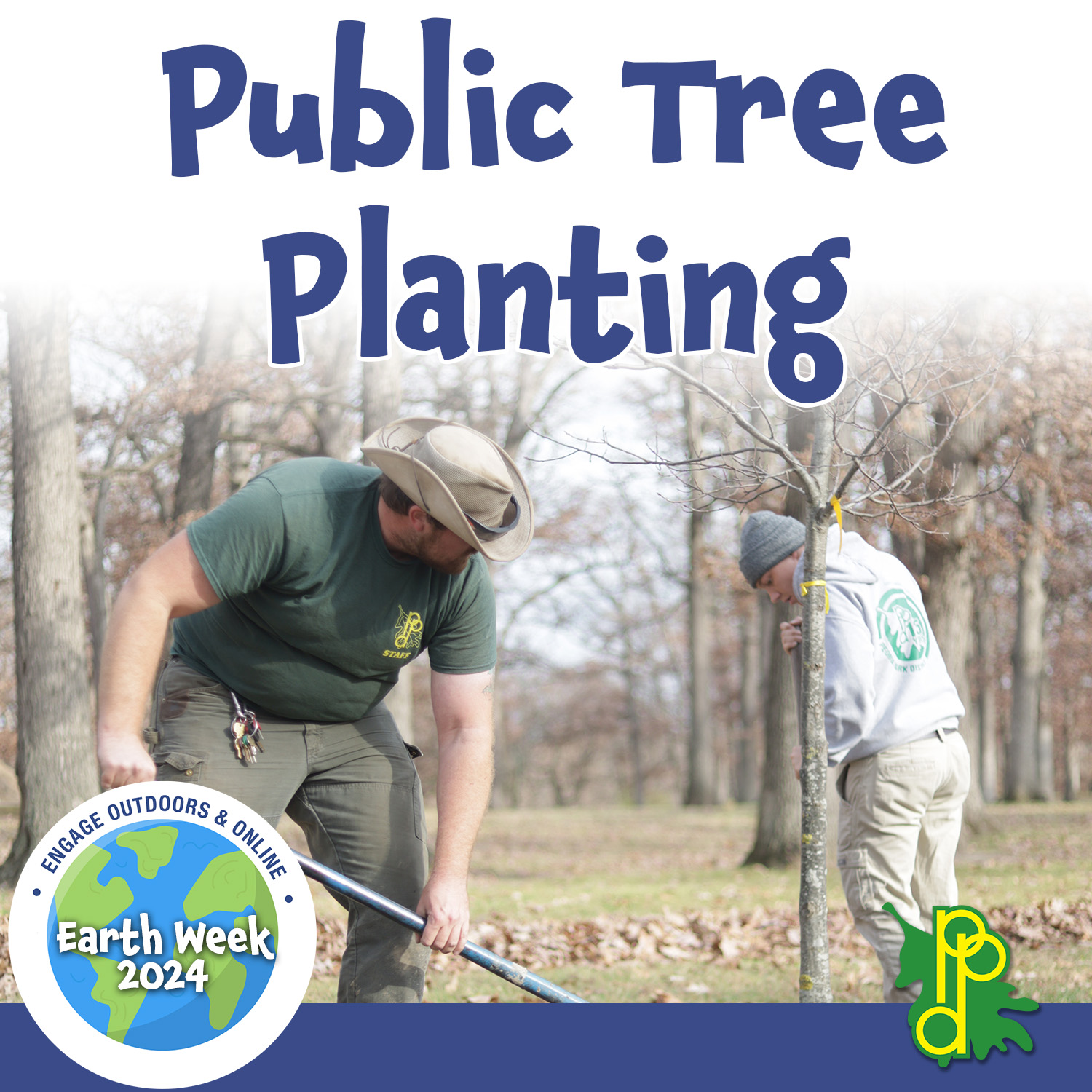 Public Tree Planting