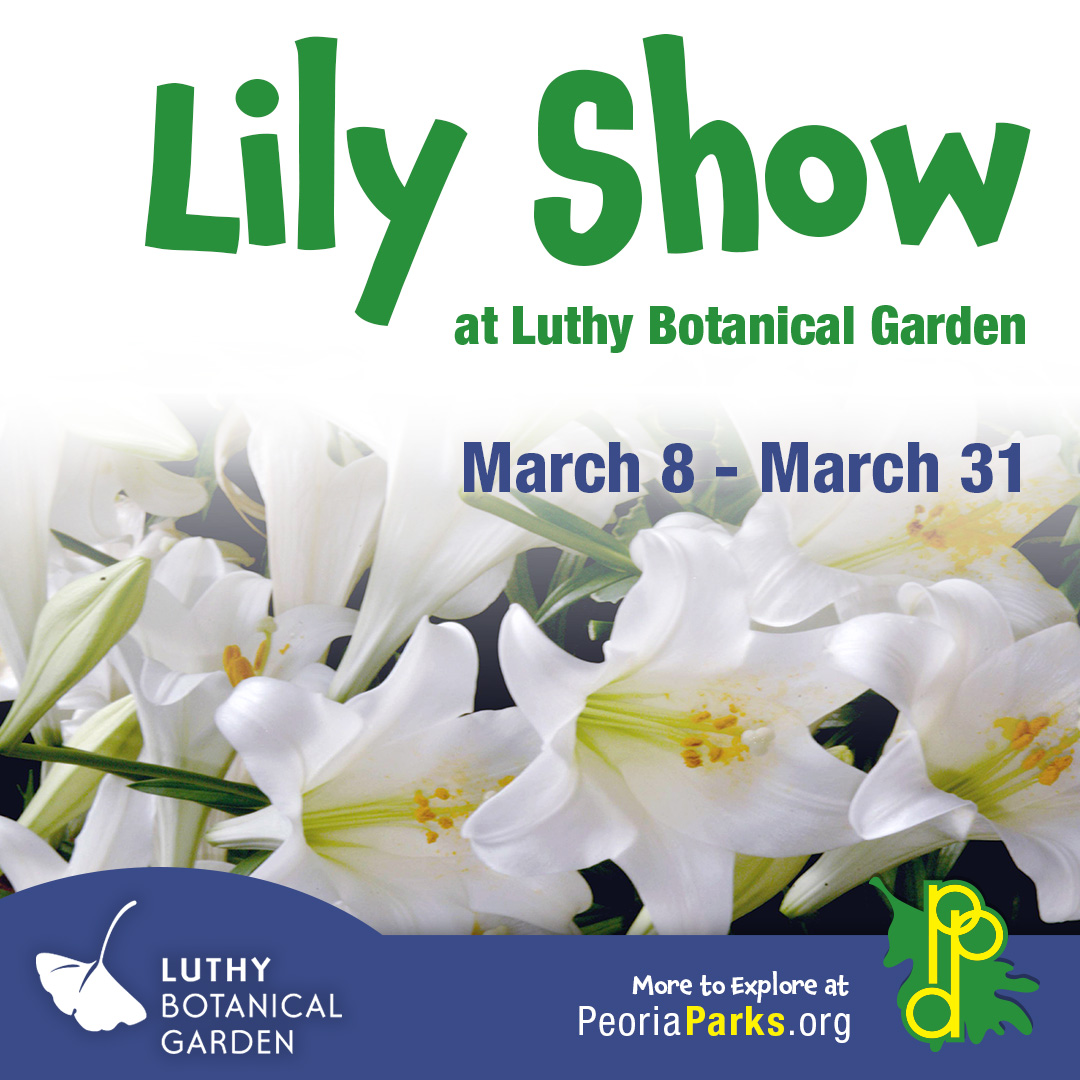 Lily Show: The Secret Garden